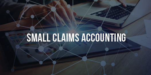 Small-Claims-Accounting