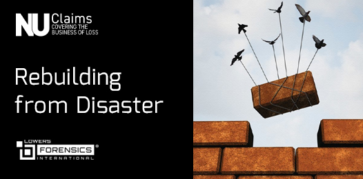 rebuilding from disaster blog post claims magazine